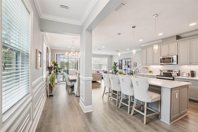 30167 SOUTHWELL LANE, Wesley Chapel, FL 33543