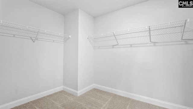 480 Leathertree Lane, Blythewood, SC 29016