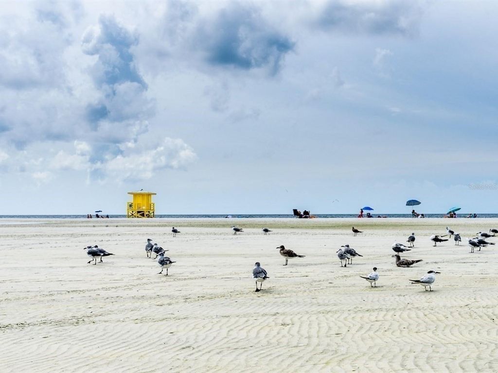 Image 68 of property listing at 2876 HARDEE DRIVE, Sarasota, FL 34231