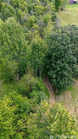 9905 52nd Ave, Allendale, MI 49401