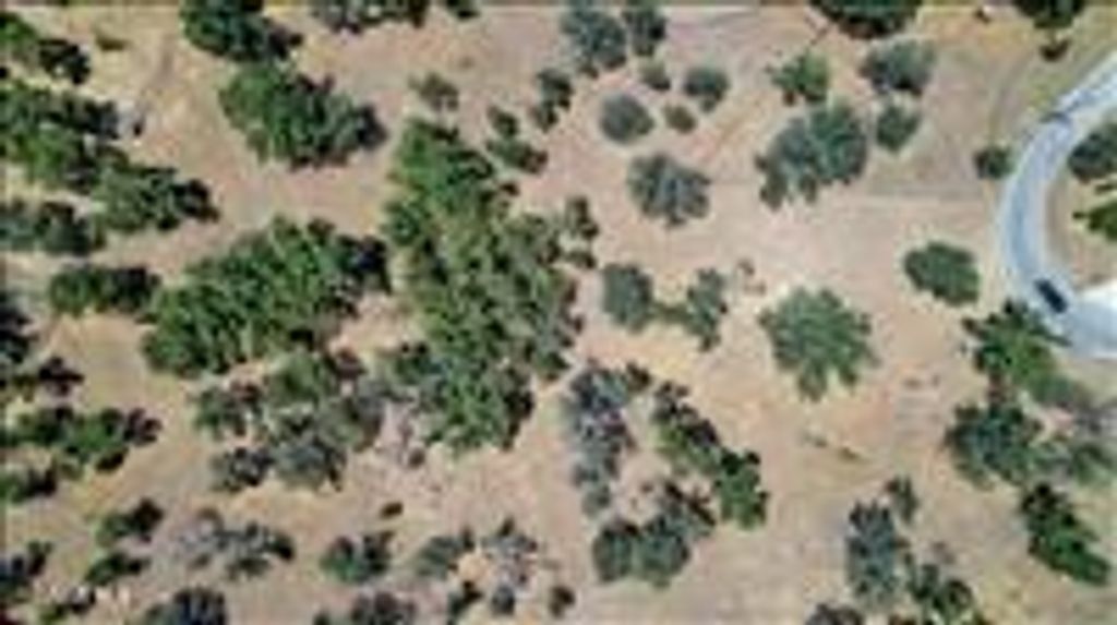 24590 Deertrail Drive, Tehachapi, CA 93561