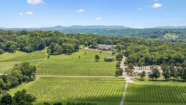 7021 Fiddlers Glen Dr, Arrington, TN 37014