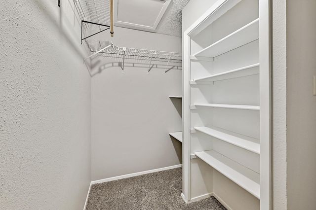 4407 Limewood CT, Austin, TX 78727