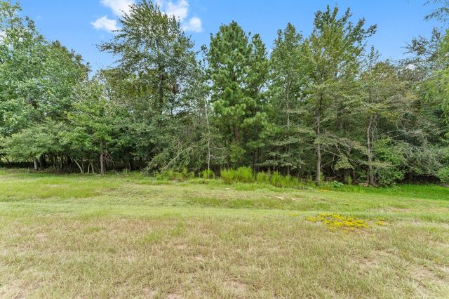 6464 Rolling Oak Drive, Montgomery, TX 77316