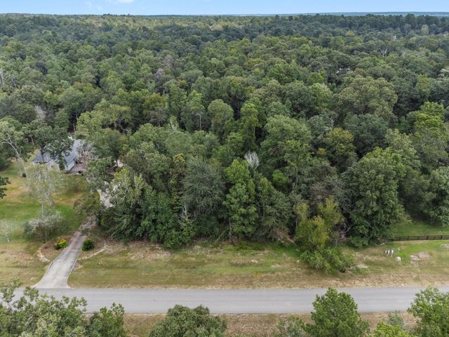 6464 Rolling Oak Drive, Montgomery, TX 77316