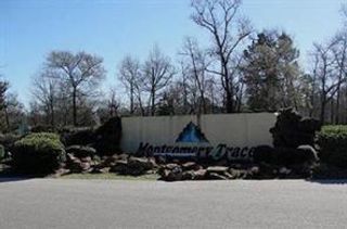 6464 Rolling Oak Drive, Montgomery, TX 77316