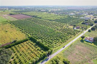 900 Minnesota Road, Alamo, TX 78516