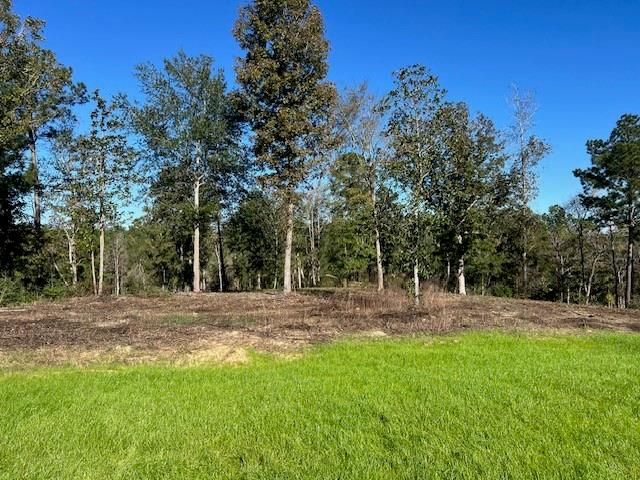 TBD LOT 27 Addison Rd, Livingston, TX 77351