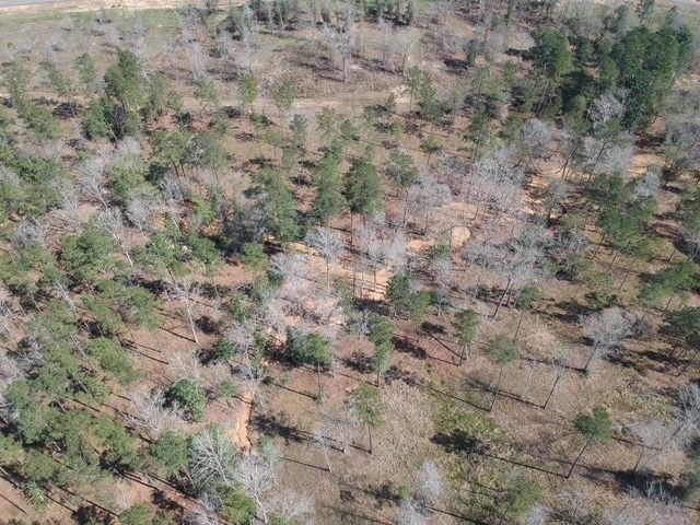 TBD LOT 27 Addison Rd, Livingston, TX 77351
