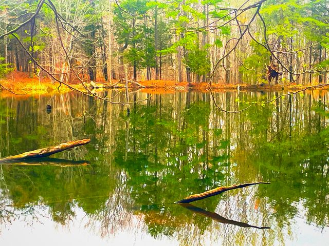 Lot 168, Teludachee Trail, South Pittsburg, TN 37380