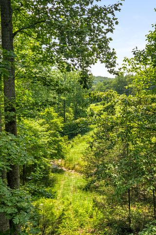 7909 Shoals Branch Rd, Primm Springs, TN 38476