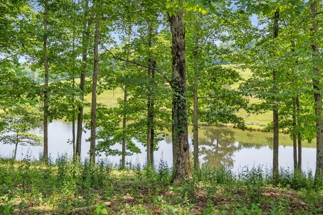 7909 Shoals Branch Rd, Primm Springs, TN 38476