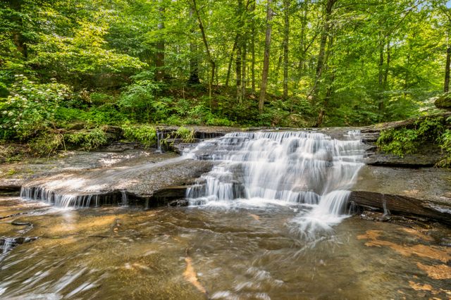 7909 Shoals Branch Rd, Primm Springs, TN 38476