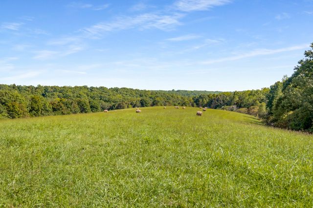 7909 Shoals Branch Rd, Primm Springs, TN 38476