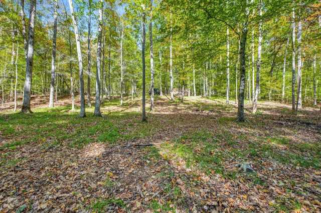 7909 Shoals Branch Rd, Primm Springs, TN 38476