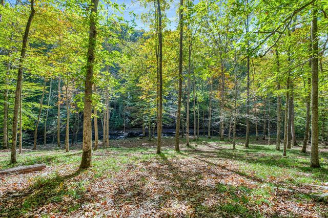 7909 Shoals Branch Rd, Primm Springs, TN 38476