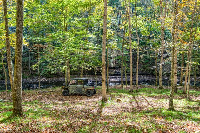 7909 Shoals Branch Rd, Primm Springs, TN 38476