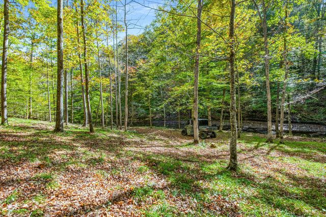 7909 Shoals Branch Rd, Primm Springs, TN 38476
