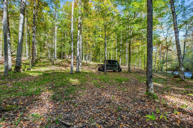 7909 Shoals Branch Rd, Primm Springs, TN 38476