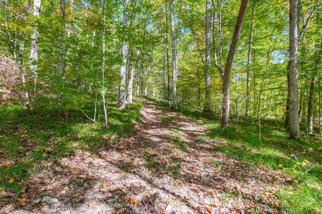 7909 Shoals Branch Rd, Primm Springs, TN 38476