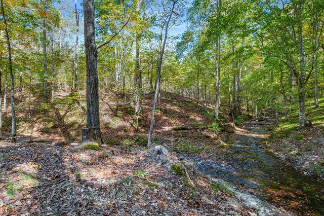 7909 Shoals Branch Rd, Primm Springs, TN 38476