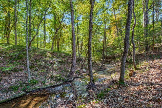 7909 Shoals Branch Rd, Primm Springs, TN 38476