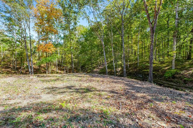 7909 Shoals Branch Rd, Primm Springs, TN 38476