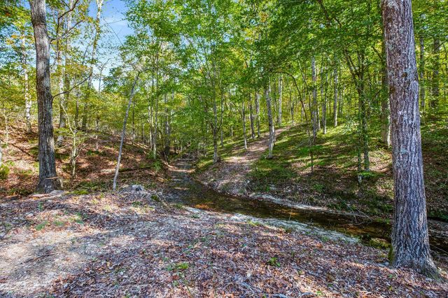 7909 Shoals Branch Rd, Primm Springs, TN 38476