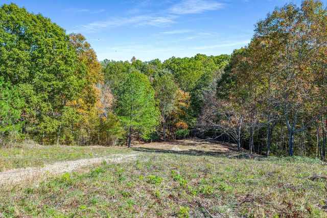 7909 Shoals Branch Rd, Primm Springs, TN 38476