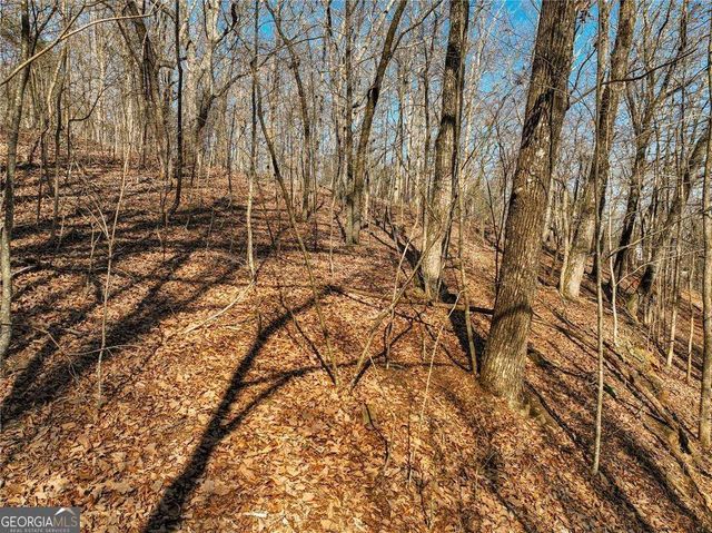 LOT 8 Mount Mincie Road, Murrayville, GA 30564