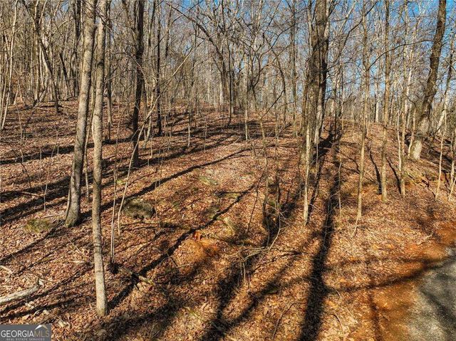 LOT 8 Mount Mincie Road, Murrayville, GA 30564