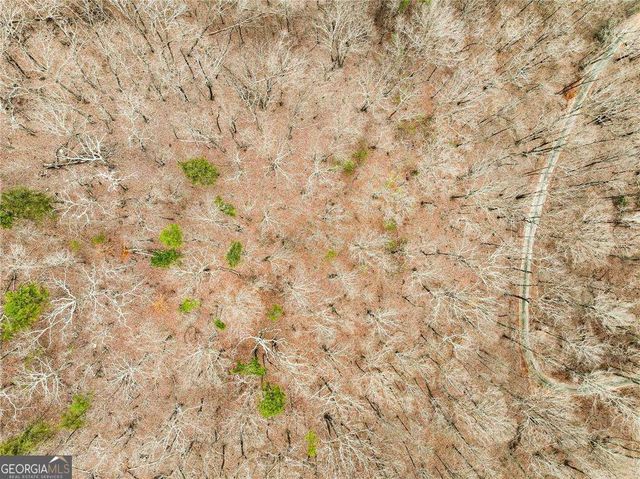 LOT 8 Mount Mincie Road, Murrayville, GA 30564