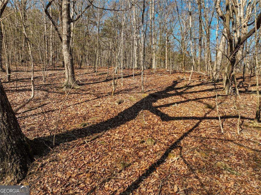 LOT 8 Mount Mincie Road, Murrayville, GA 30564