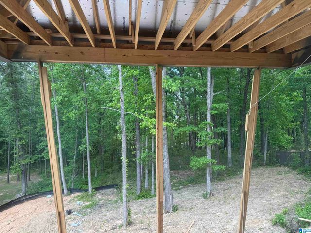 3270 RIVER BIRCH TRAIL, Chelsea, AL 35043