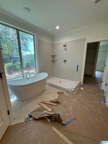 3270 RIVER BIRCH TRAIL, Chelsea, AL 35043