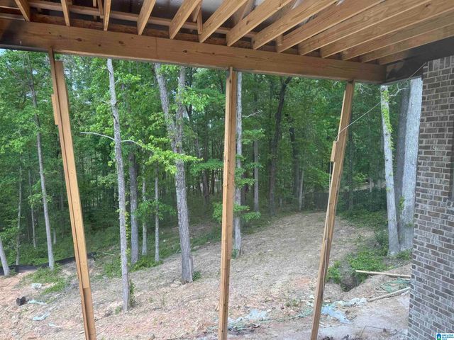 3270 RIVER BIRCH TRAIL, Chelsea, AL 35043
