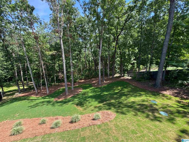 3270 RIVER BIRCH TRAIL, Chelsea, AL 35043