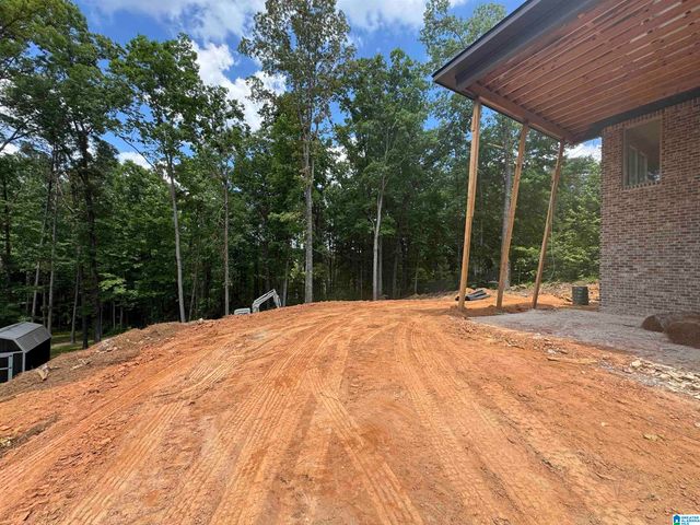3270 RIVER BIRCH TRAIL, Chelsea, AL 35043