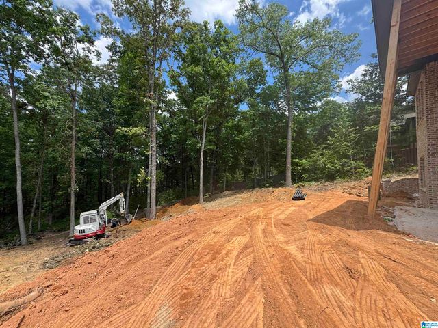 3270 RIVER BIRCH TRAIL, Chelsea, AL 35043