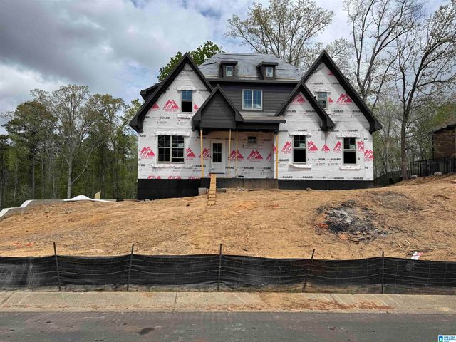 3270 RIVER BIRCH TRAIL, Chelsea, AL 35043