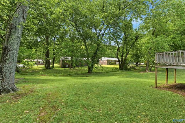 227 11th Place, Arab, AL 35016