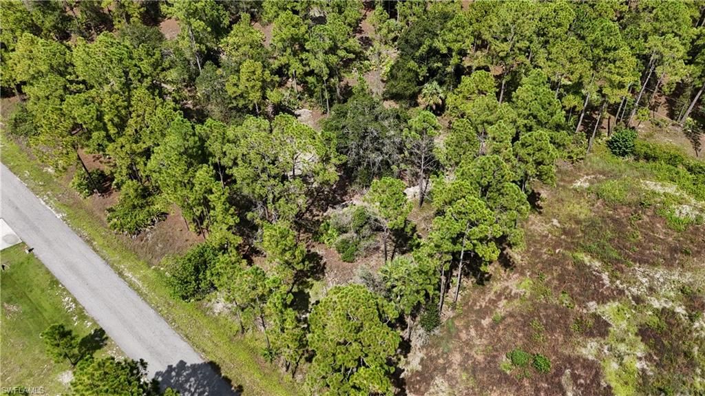 1212 Calvin AVE, LEHIGH ACRES, FL 33972 — exterior