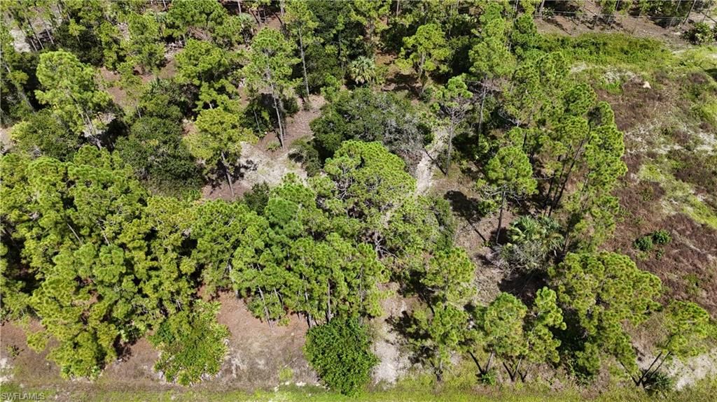 1212 Calvin AVE, LEHIGH ACRES, FL 33972 — photo 3