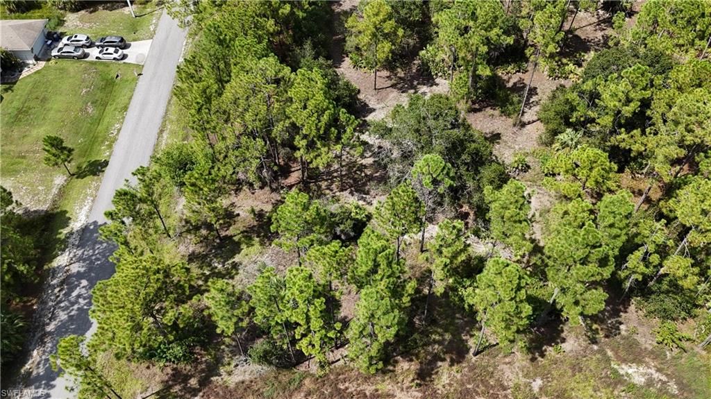 1212 Calvin AVE, LEHIGH ACRES, FL 33972 — photo 4