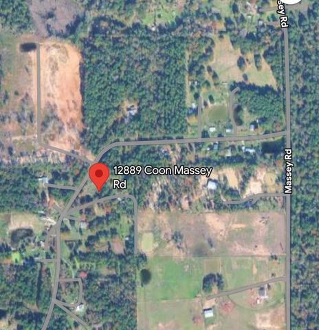 12889 Coon Massey Road, Conroe, TX 77306