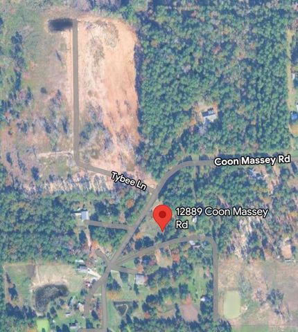 12889 Coon Massey Road, Conroe, TX 77306