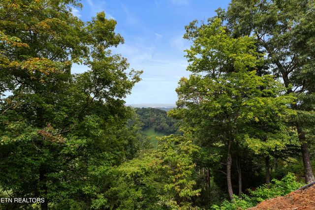 2278 Lower Rinehart Rd, Dandridge, TN 37725