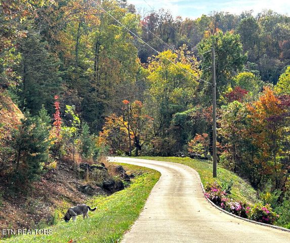 2278 Lower Rinehart Rd, Dandridge, TN 37725