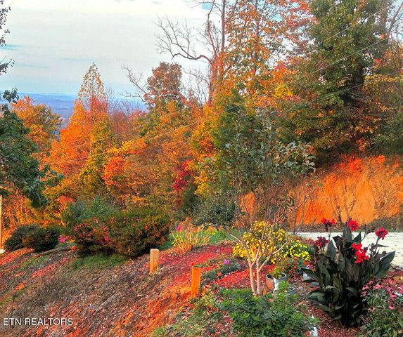 2278 Lower Rinehart Rd, Dandridge, TN 37725