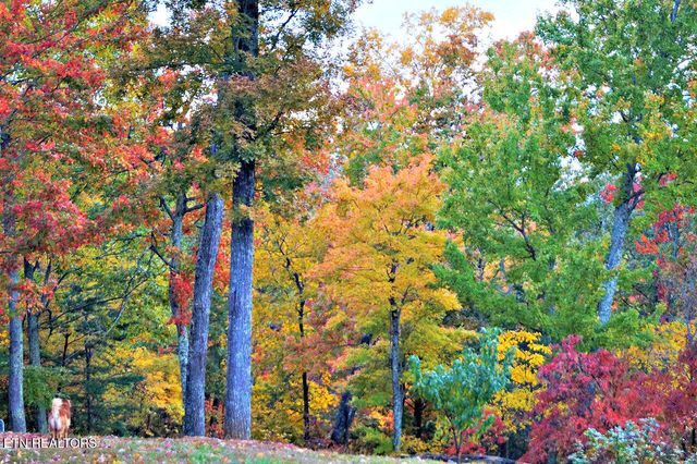 2278 Lower Rinehart Rd, Dandridge, TN 37725